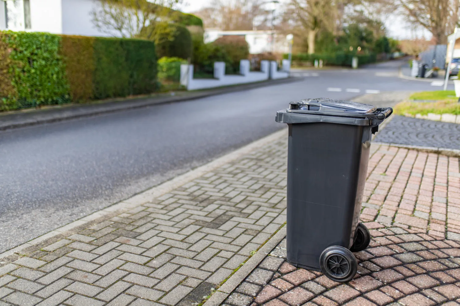 View of a garbage container on the street pavement